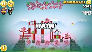 ANGRY BIRDS SEASONS 2024!! NEW EPISODES: PIG DAYS, BACK TO SCHOOL, YEAR OF THE DRAGON