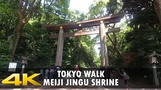 Walking in Tokyo. Harajuku Station to Meiji Jingu Shrine - 明治神宮 - 4K