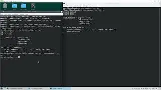 Python Domain FQDN Lookup Tool - Minimodem