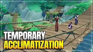 Temporary Acclimatization | World Quests & Puzzles |【Genshin Impact】