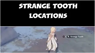 Look for the strange tooth Genshin impact Locations guide