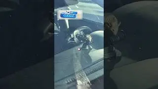 Заметила мышку в машине 😁🐭