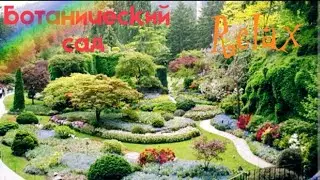 Ботанический сад  Фомина