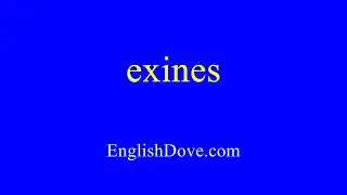 How to pronounce exines in American English