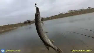 Щука, микроджиг, ультралайт.