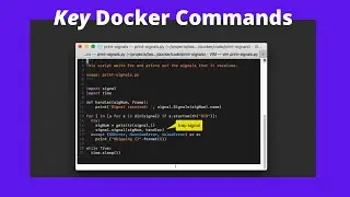 Learn Docker Step-By-Step // Part 3 - Important Docker Commands