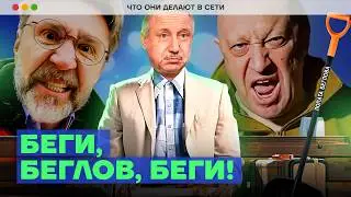 Тратит ваши деньги на войну, банит за критику, убегает от оппозиции | Что Беглов делает в сети