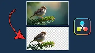Remove Background Without Green Screen in Davinci Resolve 19 Free Trial Version