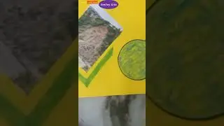 Water Disasters Science Activity #shorts #ytshorts #waterdisasters #waterdisastersscienceactivity