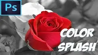 Adobe Photoshop CC Tutorial - Color Splash Effect (For Beginners)
