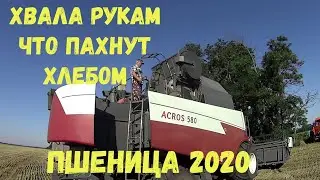 РАЗГАР УБОРОЧНОЙ СТРАДЫ!!!ПШЕНИЦА2020!!!ACROS580 ВЕКТОР410!!!