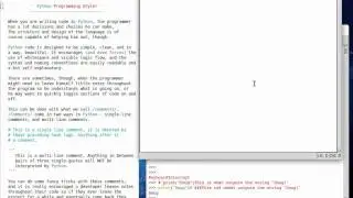 Python 08 Programming Style and Comments