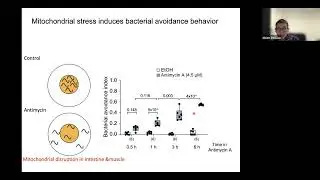 [John Liao] Neurophysiological basis of stress-induced aversive memory in the nematode C. elegans