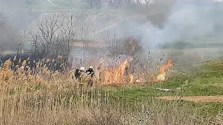 Возле Одесского НПЗ сильно горит камыш