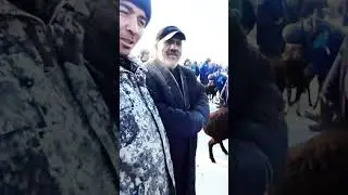 Кузи кучкор нархлари 28.01.2023