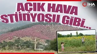 Doğa Açık Hava Fotoğraf Stüdyosuna Dönüştü