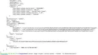 Docker Image Inspect Command