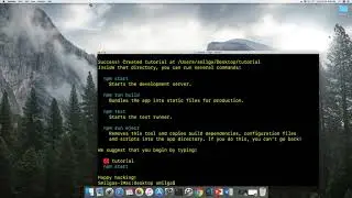 12  Install Create react app