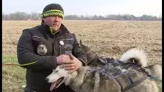 Zu Besuch auf der „Husky Ranche“ im Oldenburger Land