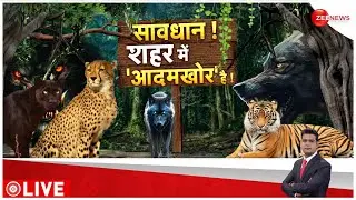 सावधान! शहर में 'आदमखोर' |Tiger Attack | Lakhimpur | Bahraich Wolf Attack | Latest Update | Hindi