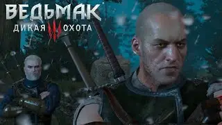 Ведьмак 3 прохождение задания "Игры кошек и волков"