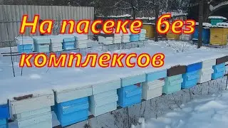 На пасеке без комплексов