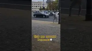 Тухм дар пешонии Раҳмонов!🥚
