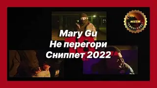 🎧 Новая песня Mary Gu - Не перегори (Сниппет 2022)