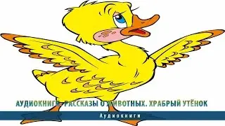 Аудиокниги. Рассказы о животных. Храбрый утёнок