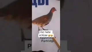 оус тилини урганишни хохлайсизми
