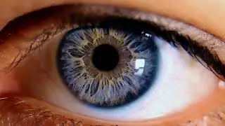 An Extreme Close Up Of The Human Eye With The Iris Increasing And Decreasing In Size 4k