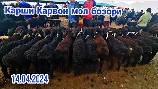 Карши Карвон мол бозори нархлари! 14.04.2024 й