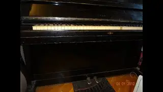 00007