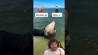 ¿QUÉ OBJETO HAY EN LA ARENA? 😱🏖 NIVEL DIOS 