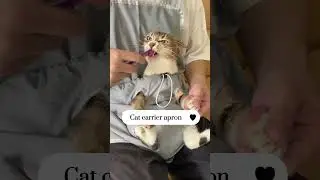 Cat carrier apron, Link is on bio or copy:www.niopets.com