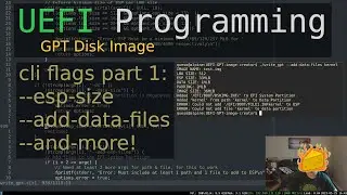 Command Line Flags 1/2 | GPT Disk Image | UEFI Dev (in C)