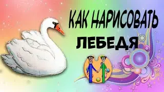 Как нарисовать лебедя. Онлайн-школа рисования 