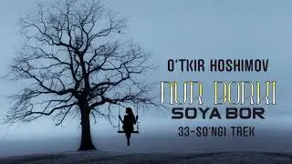 Audio kitob | Nur borki soya bor 33-oxirgi trek | O'tkir Hoshimov