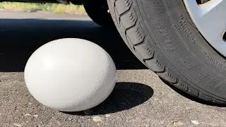 Crushing Crunchy & Soft Things by Car! EXPERIMENT- Car vs BIG EGG, Coca Cola, Fanta, Mirinda Balloon