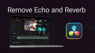 Remove Reverb and Echo in Davinci Resolve