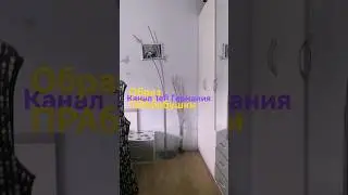 ОБРАЗ ПРАбабшки #2  Schorts  #shortsvideos#tefiгермания#50+#быть стильной#кэжуал#style#faschion