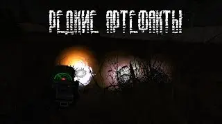 РЕДКИЕ АРТЕФАКТЫ В CALL OF CHERNOBYL