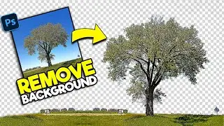 How to Remove Backgrounds in Photoshop | Photoshop Shorts Tutorial