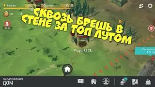 Сквозь брешь в стене за топ лутом. Рейд базы игрока Player8176