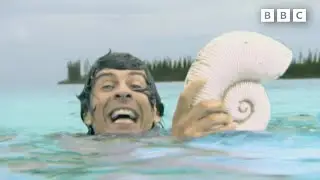 Eusrepto and Ammonite | Andy's Dinosaur Adventures | Andy's Amazing Adventures