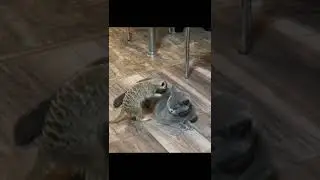 Массажист
