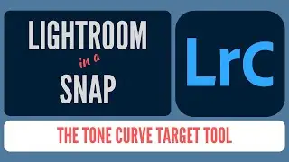 How to Use the Tone Curve Target Tool in Lightroom