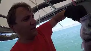 Как Ловят🎣и Продают💰  рыбу в Испании..☝️