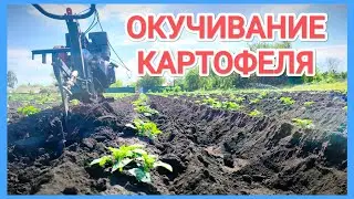 Всегда ТОЛЬКО ТАК ОКУЧИВАЮ КАРТОФЕЛЬ! Результат радует!