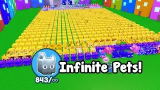 I Bought Infinite Pets Equipped And This Happened! - Pet Simulator X Roblox